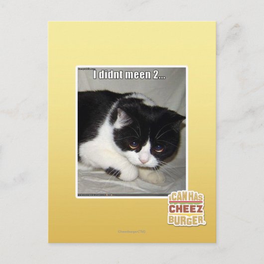 Ich habe nicht 2 bedeutet postkarte (Vorderseite)