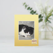 Ich habe nicht 2 bedeutet postkarte (Stehend Vorderseite)