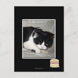 Ich habe nicht 2 bedeutet postkarte