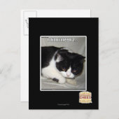 Ich habe nicht 2 bedeutet postkarte (Vorne/Hinten)