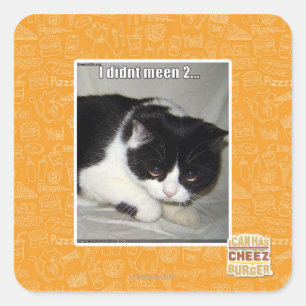 Ich habe nicht 2 bedeutet quadratischer aufkleber