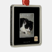 Ich habe nicht 2 silbernes ornament (Rechts)