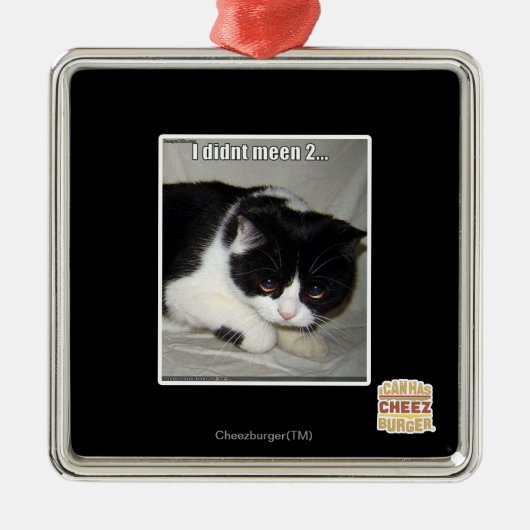 Ich habe nicht 2 silbernes ornament (Vorne)