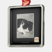 Ich habe nicht 2 silbernes ornament (Links)