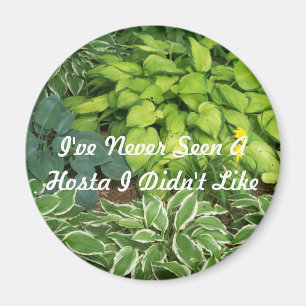 Ich habe nie einen Hosta gesehen, den ich nicht Magnet