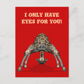 Ich habe nur Augen für dich Postkarte