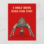 Ich habe nur Augen für dich Postkarte (Vorderseite)