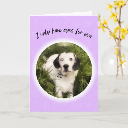 Ich habe nur Augen für Sie niedlichen Hund Valenti Karte (Gelbe Blume)