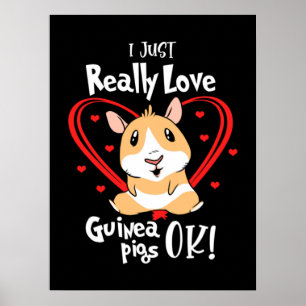Ich habe nur wirklich Liebe Guinea Schweine Poster