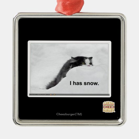 Ich habe Schnee. Ornament Aus Metall (Vorne)