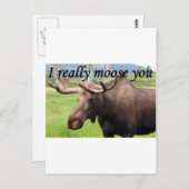 Ich habe Sie wirklich verwählt: Alaskan Elose Postkarte (Vorne/Hinten)