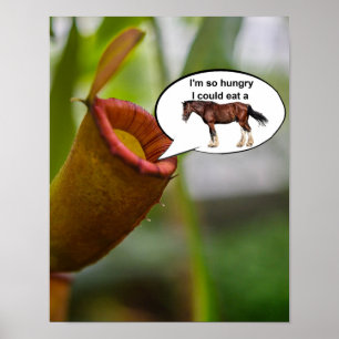 Ich habe so einen Hunger, ich könnte ein Pferd fre Poster
