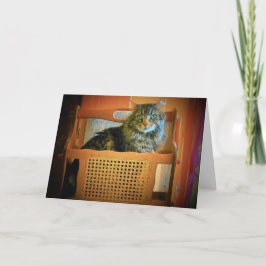 Ich habe so viele Ausgaben, die ich brauche ein Ma Karte