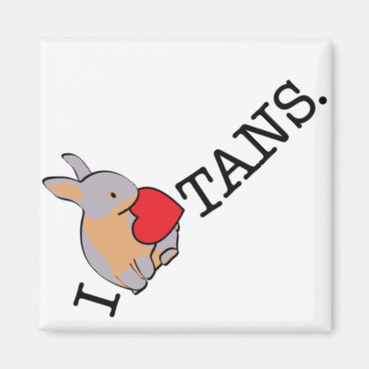 ICH HABE TANS GEHÖRT! MAGNET (Vorne)