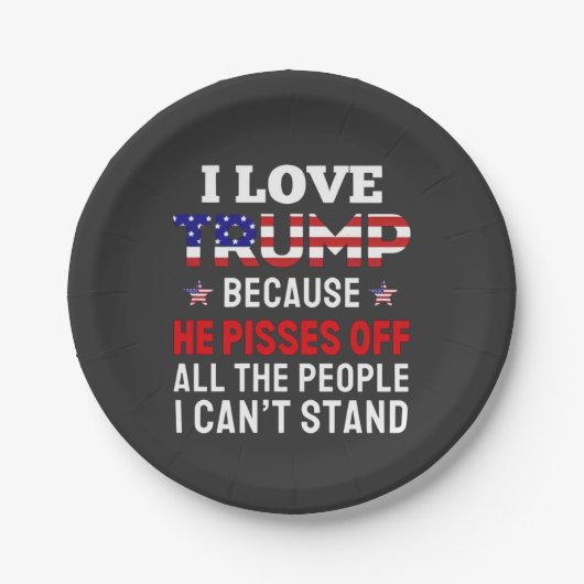 "Ich habe Trump Liebe, weil er alle Menschen absch Pappteller (Vorderseite)
