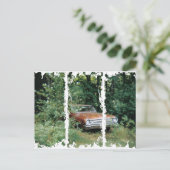 Ich half, den Goldene Adler des alten Orchard Beac Postkarte (Stehend Vorderseite)