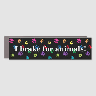 Ich halte an Tieren fest! Farbenfrohe Paw Prints B Auto Magnet