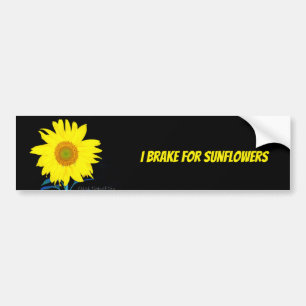 Ich halte für Sonnenblumen fest Autoaufkleber