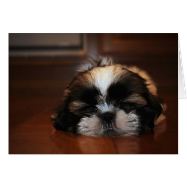 Ich hänge nur meine leere Karte aus. (Vorderseite (Horizontal))