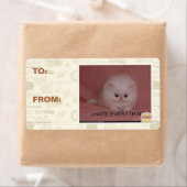 Ich hasse alles (Insitu)