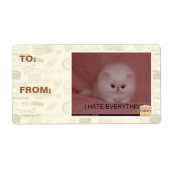 Ich hasse alles (Vorne)