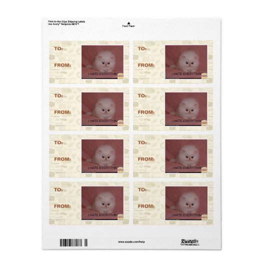 Ich hasse alles (Vorne)