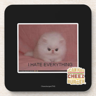 Ich hasse alles getränkeuntersetzer