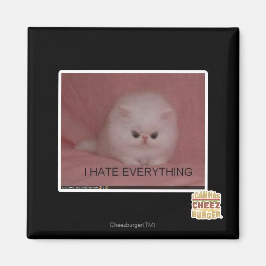 Ich hasse alles magnet (Vorne)