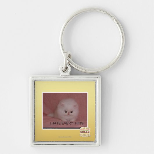 Ich hasse alles schlüsselanhänger (Vorne)