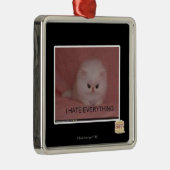 Ich hasse alles silbernes ornament (Rechts)