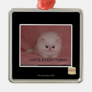 Ich hasse alles silbernes ornament