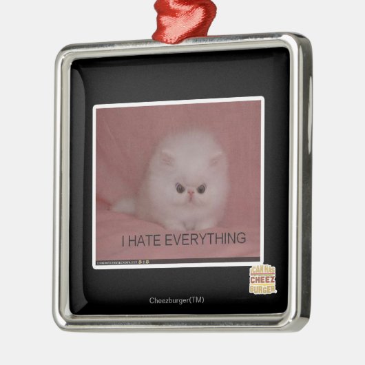 Ich hasse alles silbernes ornament (Links)