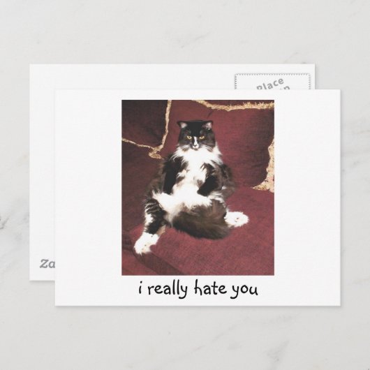 Ich hasse dich wirklich postkarte (Vorne/Hinten)