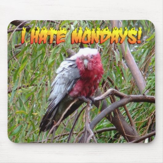 Ich hasse Montage Mousepad (Vorne)