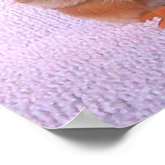 Ich Hasse Montage Poster (Ecke)