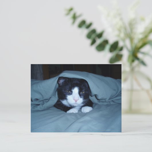 Ich hasse montags! postkarte (Stehend Vorderseite)