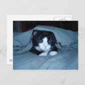 Ich hasse montags! postkarte (Vorne/Hinten)