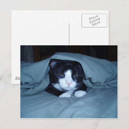 Ich hasse montags! postkarte (Vorne/Hinten)