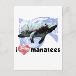 Ich heart Manatees Postkarte
