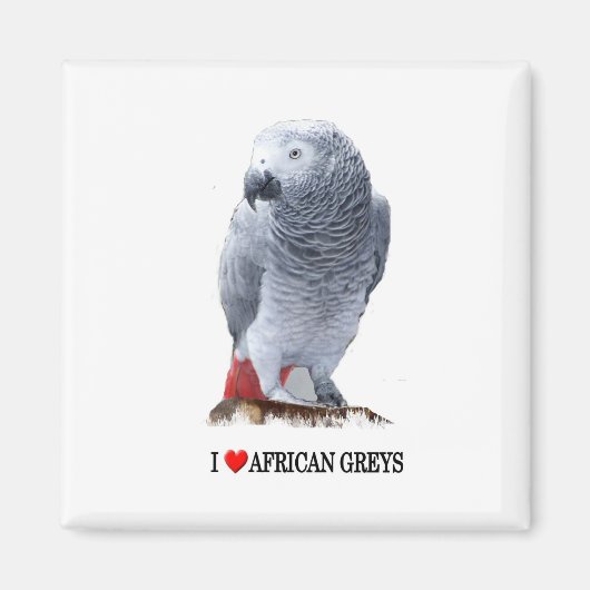 Ich hebe afrikanische Grauen Magnet (Vorne)
