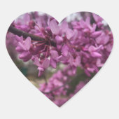 Ich hebe Redbuds Aufkleber (Vorderseite)