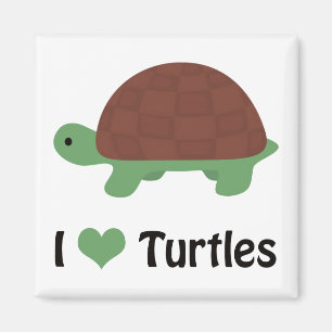Ich hebe Schildkröten Niedlichen Cartoon Schildkrö Magnet