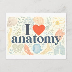 "Ich [Herz] Anatomie" Postkarte