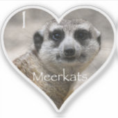 Ich Herz Meerkats Aufkleber (Vorderseite)