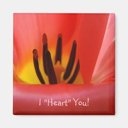 Ich "Herz" Sie! Magnet RED Tulip Blume (Vorne)
