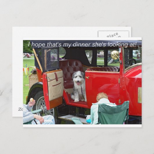 Ich hoffe, das ist mein Abendessen, das sie sucht. Postkarte (Vorne/Hinten)