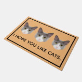 Ich hoffe, du magst Katzen Fußmatte (Schrägansicht)