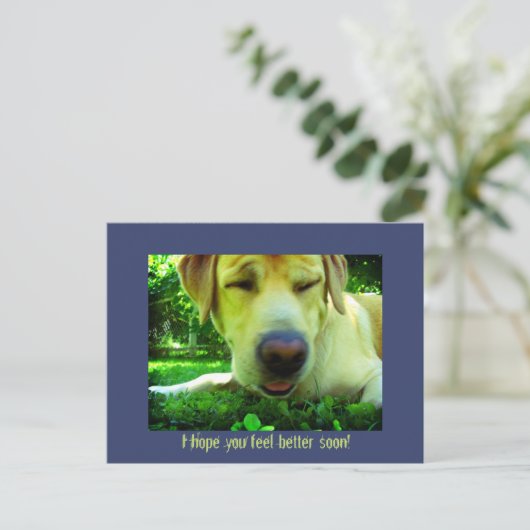 Ich hoffe, es geht dir bald besser! postkarte (Stehend Vorderseite)