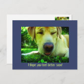 Ich hoffe, es geht dir bald besser! postkarte (Vorne/Hinten)