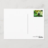 Ich hoffe, es geht dir bald besser! postkarte (Rückseite)